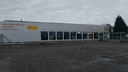 Autonechanice